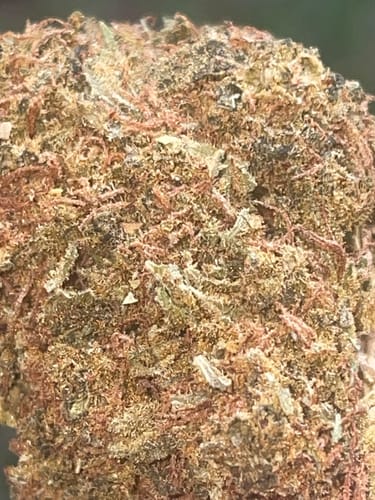 Customer photo review of THCA Flower Budget Buds