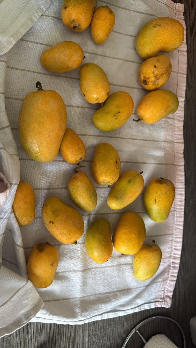 Customer photo review of Baby Honig-Mango Ataulfo Bio von Julian