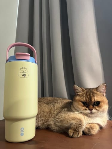 Customer photo review of Wildflower Field Roamer Tumbler