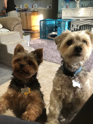 Customer photo review of Tummy Essentials - 1 Pouch