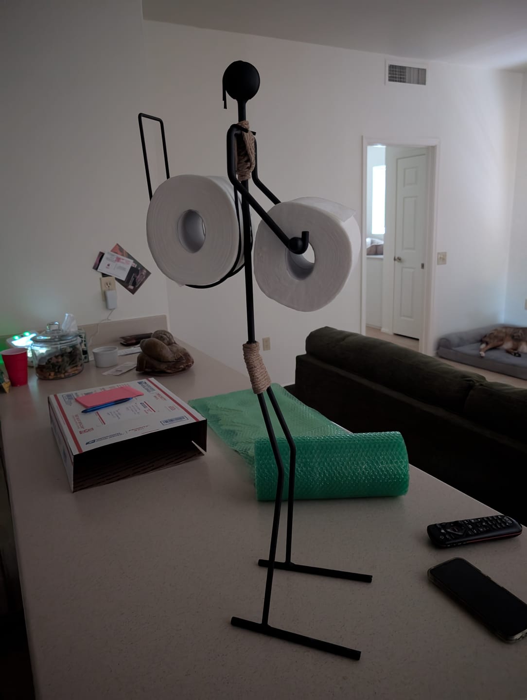 Customer photo review of Toilet Paper Holder and Storage