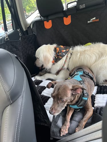 Customer photo review of RuffRover 2.0™ - Hard Bottom Back Seat Extender + (FREE Dog Bed)
