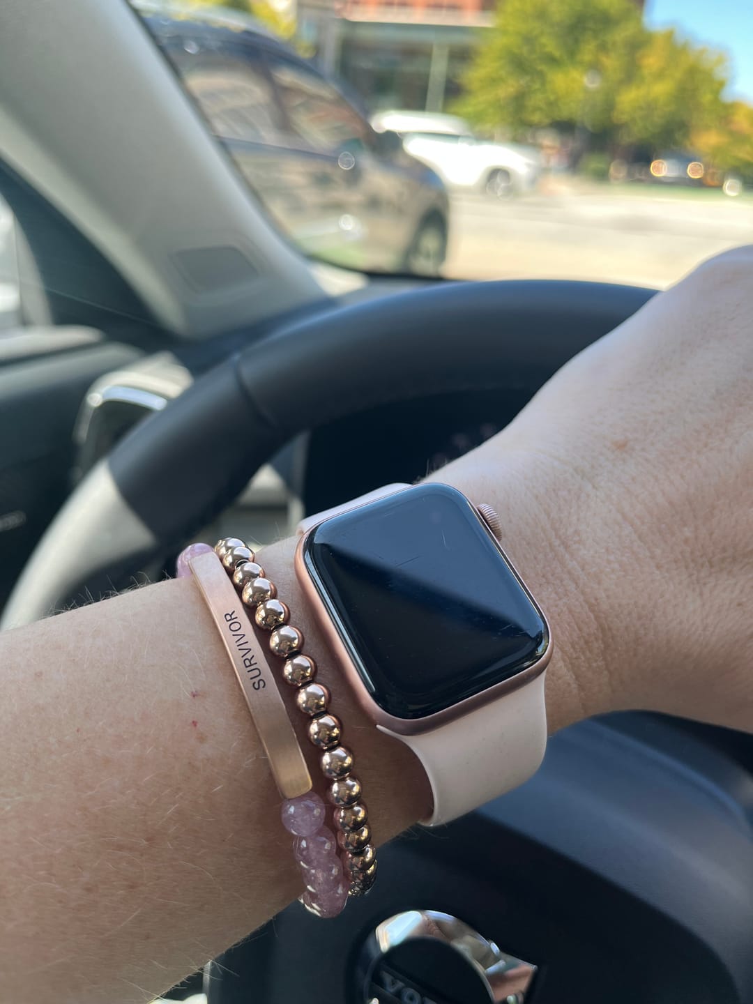 Customer photo review of SURVIVOR