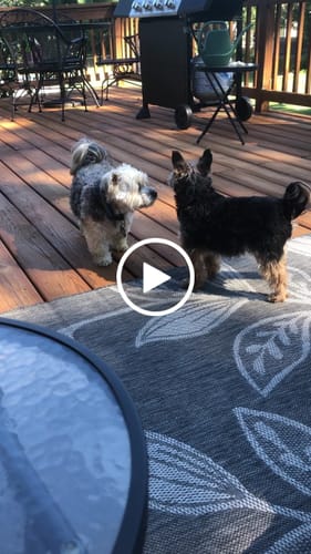 Customer video review of Freedom Joint Drops