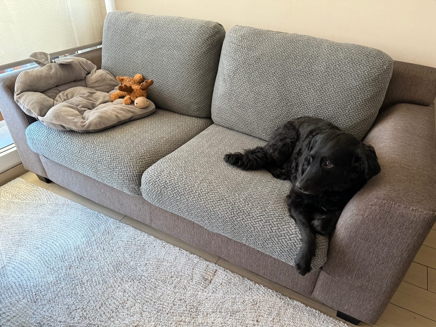 Customer photo review of Funda mágica cubre sofa