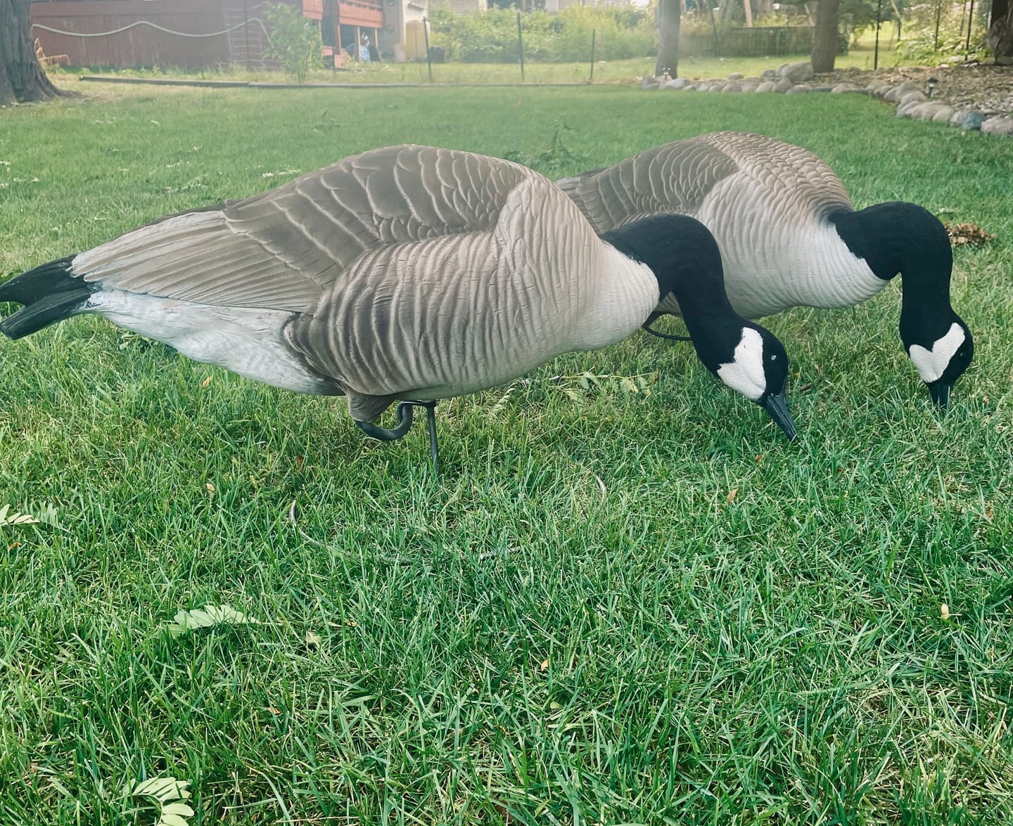 Customer photo review of Decoy Paint Single Color - 8oz