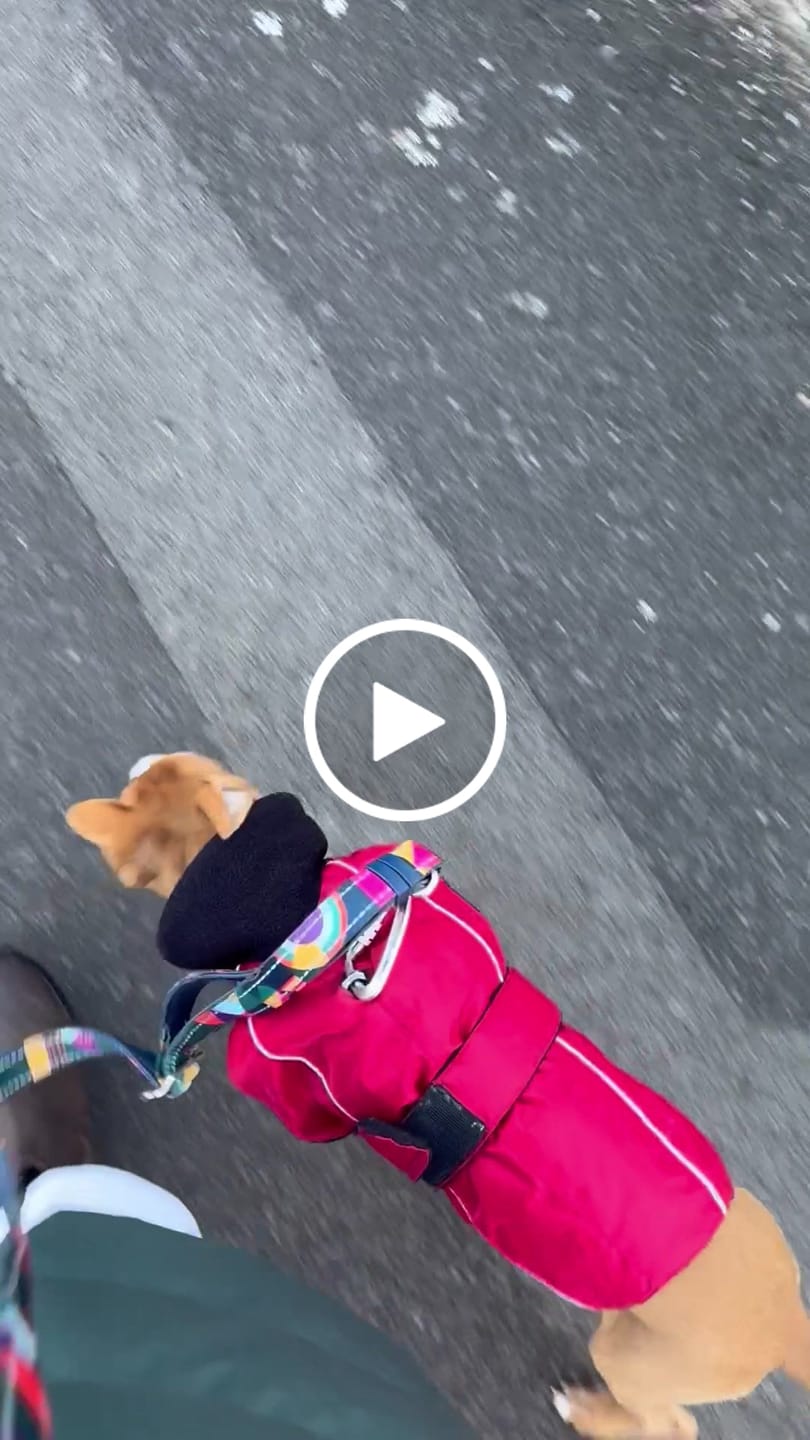 Customer video review of Multi-Way Lead