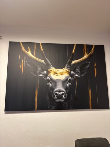 Customer photo review of Leinwandbild | Edler Hirsch in Fokus | Querformat