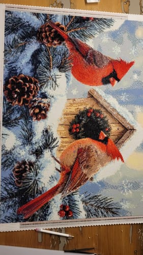 Customer photo review of 5D Diamond Painting – Winterliche Kardinäle