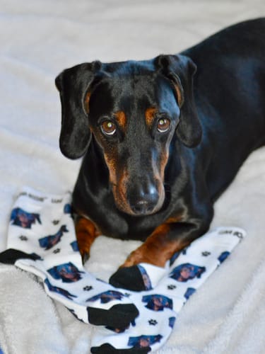 Manuela review of Personalisierte Socken mit deinem Haustier image 1 out of 1