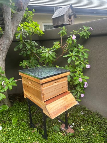 Customer photo review of MayBee Hives Unassembled 10 Frame Beehive Box Deep Brood Box Dipped in 100% Beeswax Includes Pine Wood Frame , Beeswaxed Foundations（NO LOGO）