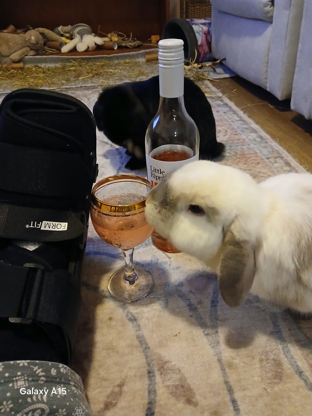 Customer photo review of Rosé - Single Bottle