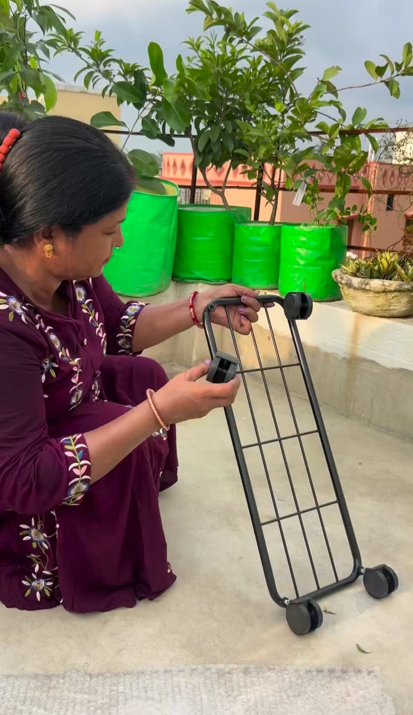 Customer photo review of TryGreen Ivy Wheel Rolling Plant Stand for Planters
