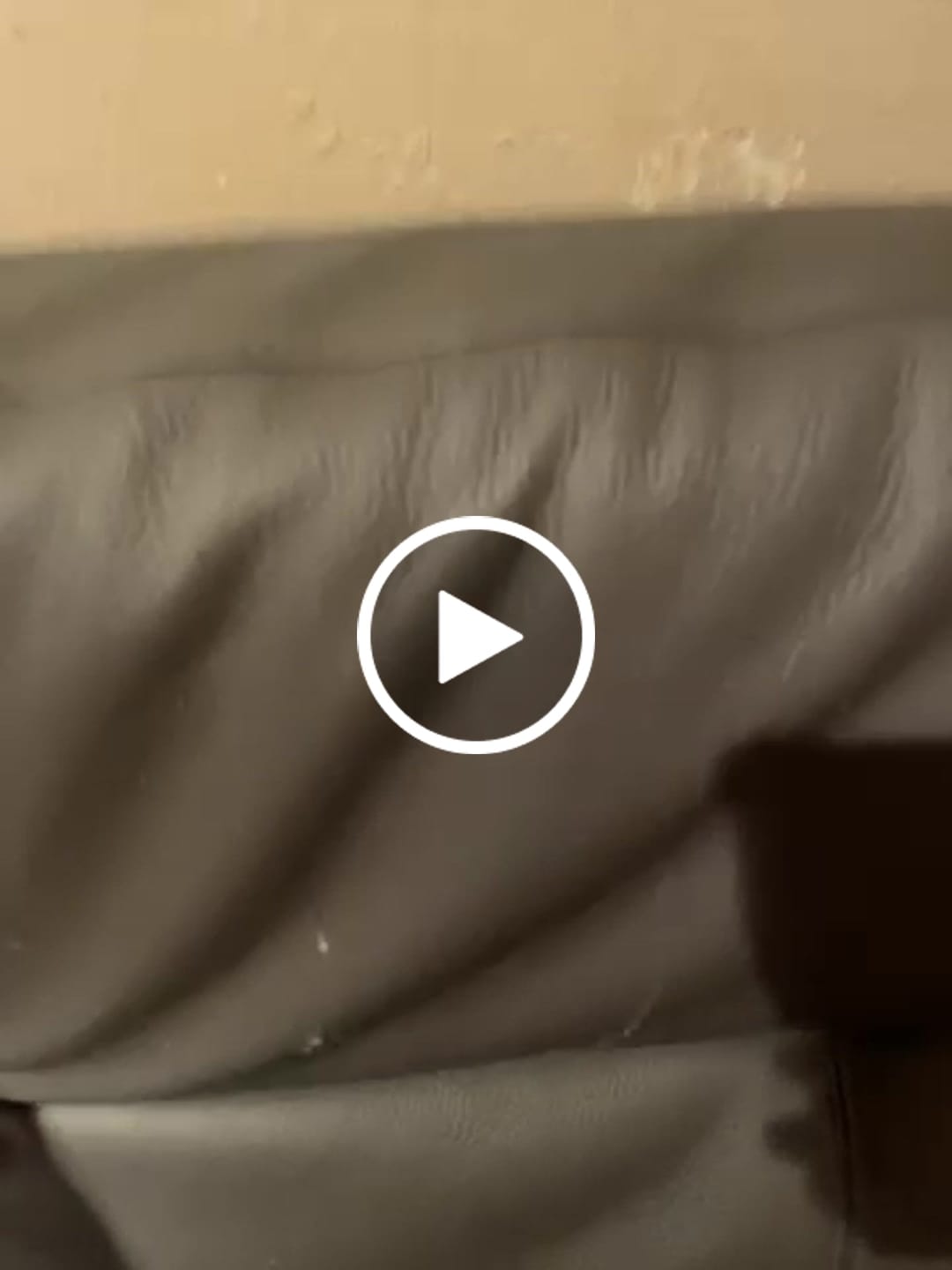 Customer video review of Multifunctional Cat Scratching Carpet