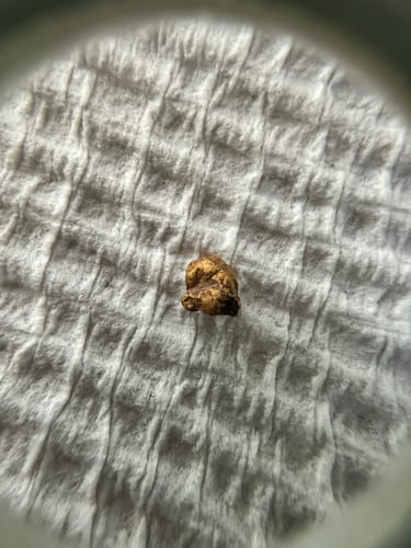 Customer photo review of 12 x 7 inch XCEED Coils by Nugget Finder for GPX 6000