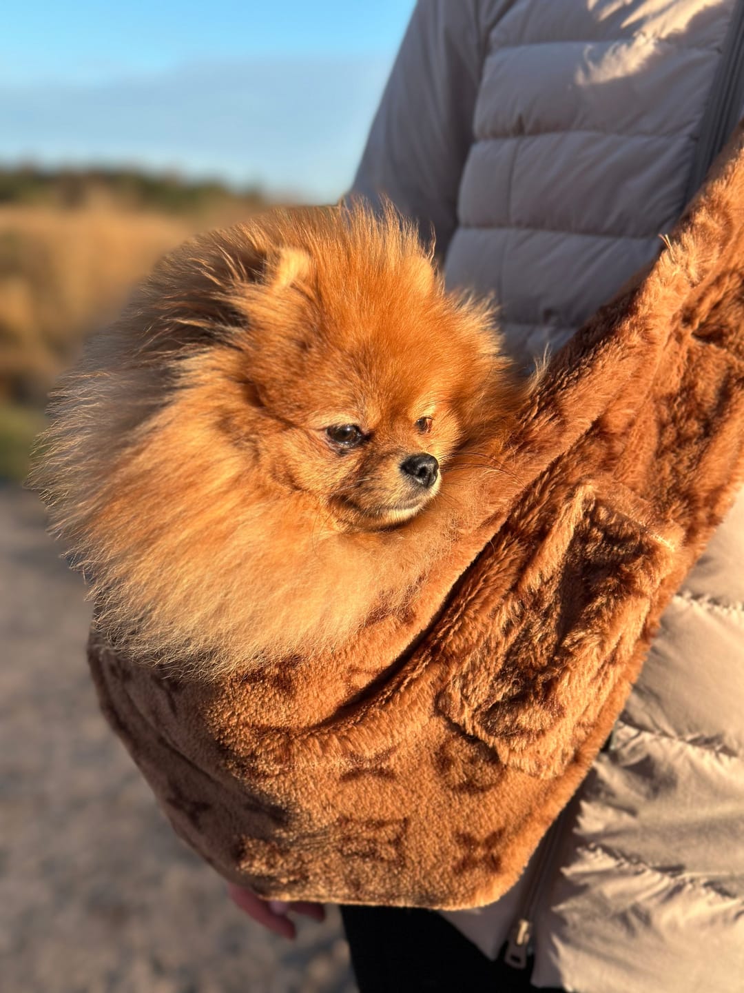Customer photo review of Lulaina cozy carrier