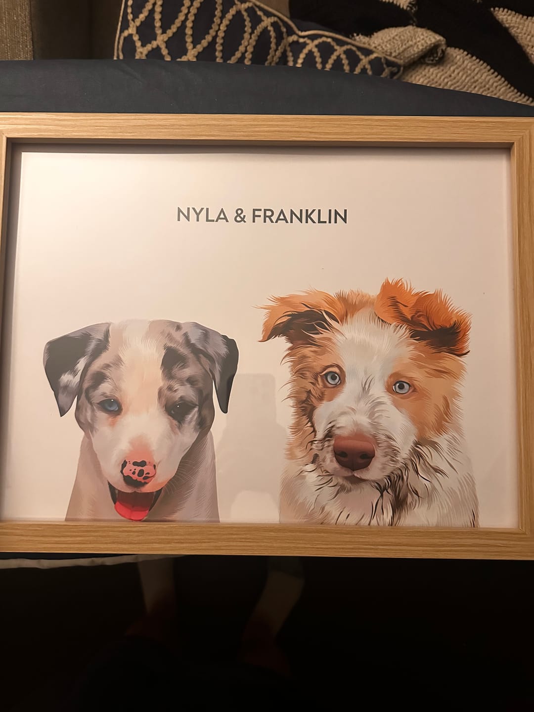 Customer photo review of 2 Pets