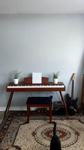 Customer photo review of Donner DDP-80 Sound Upgraded Weighted Digital Piano