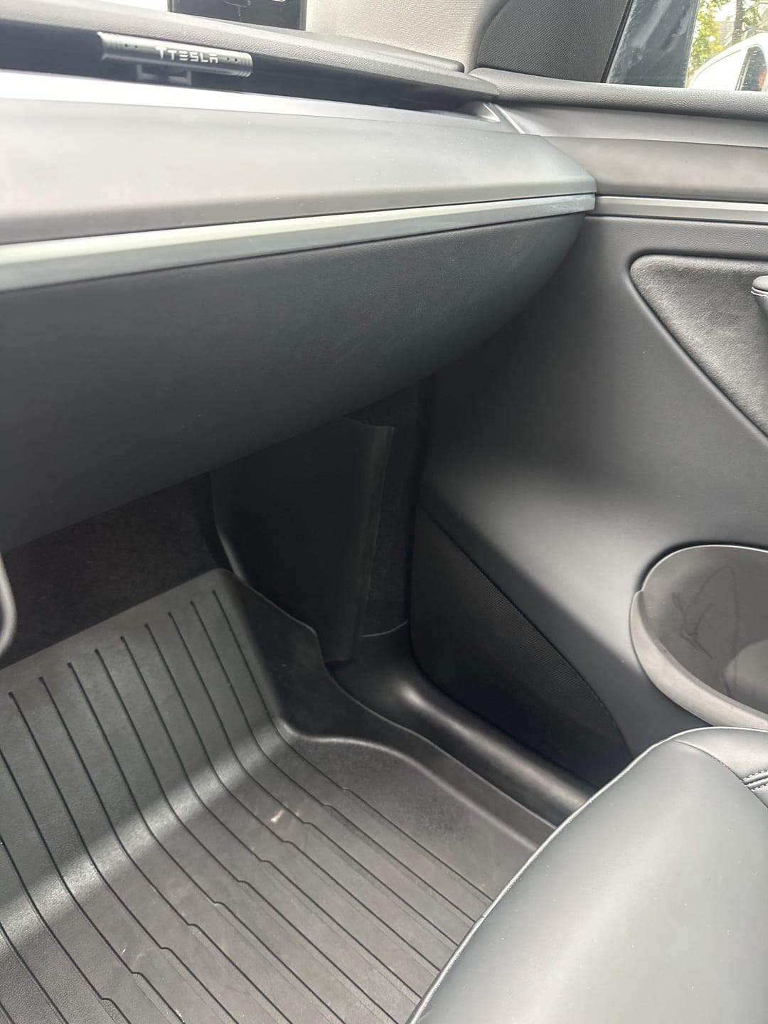 Customer photo review of Blackout Kit for Tesla Model 3 & Y Gen 2