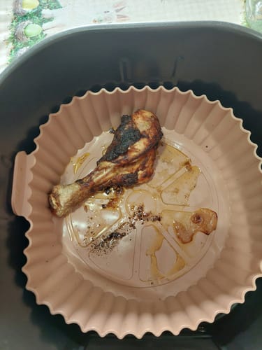 Customer photo review of Air Fryer Novio Grill & Fry