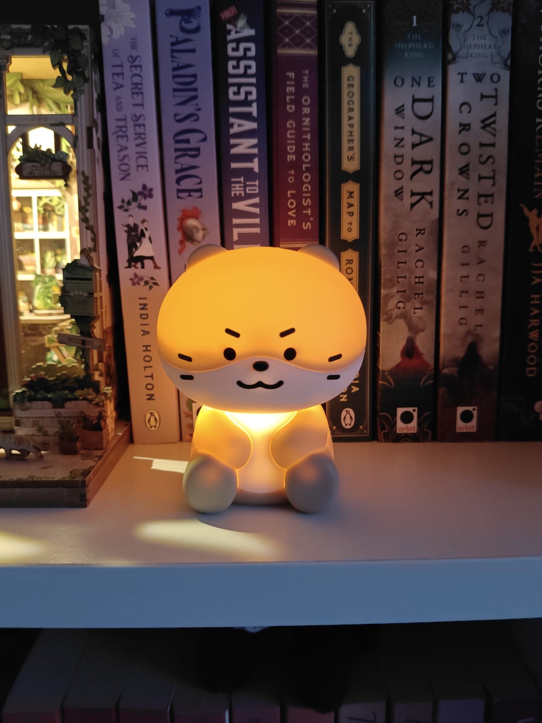 Customer photo review of SEVENTEEN - MINITEEN 2ND OFFICIAL MD MINI MOOD LAMP