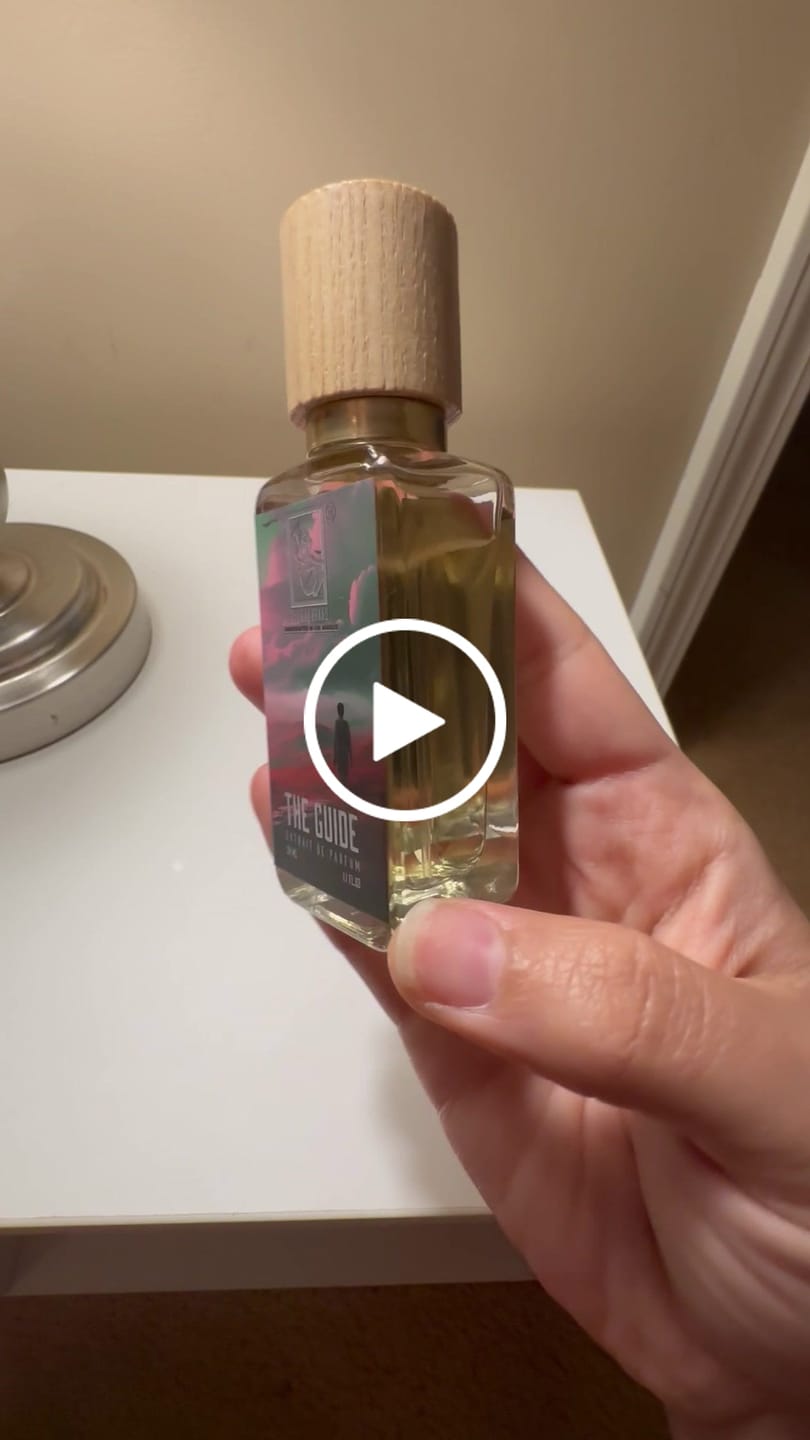 Customer video review of The Guide