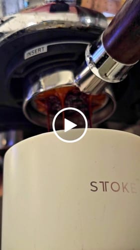 Customer video review of Golden Cup Blend