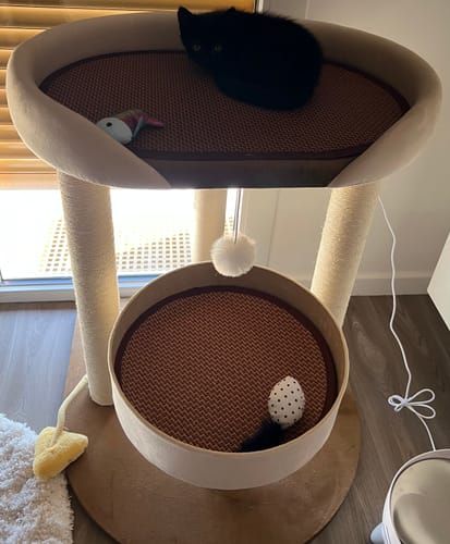 Customer photo review of Arbre à Chat - Sommets Silhouettes