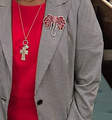 Carolyn G. review of Brooch DST Elephant Head Red Stone Pin for Women image 1 out of 1