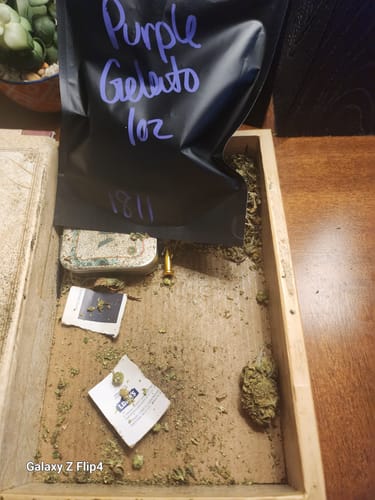 Customer photo review of Purple Gelato - Hybrid