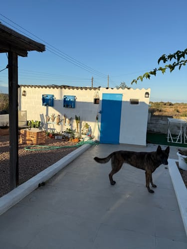 Customer photo review of Light