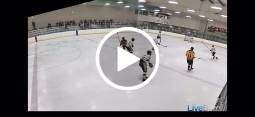 Customer video review of ZP-PRO HOCKEY REFEREE PADDED PANTS