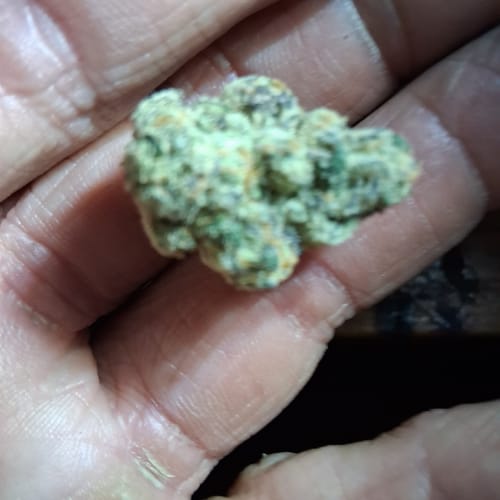 Customer photo review of Jet Fuel Gelato x Peach Rings - 28 Grams - Hybrid