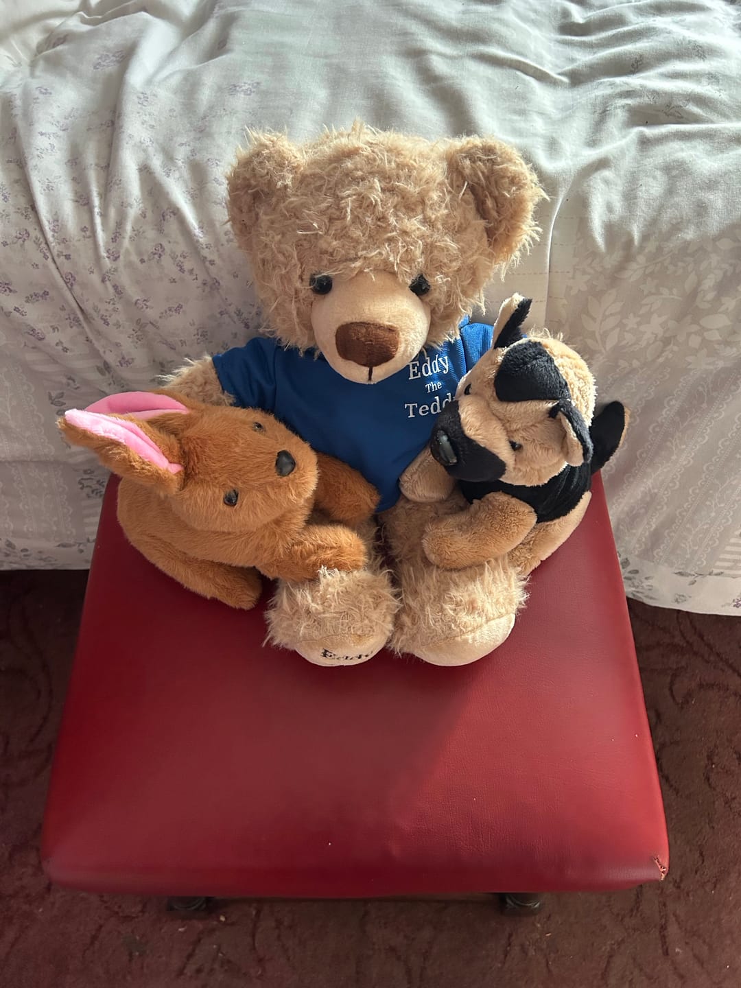 Customer photo review of Eddy The Teddy Bear