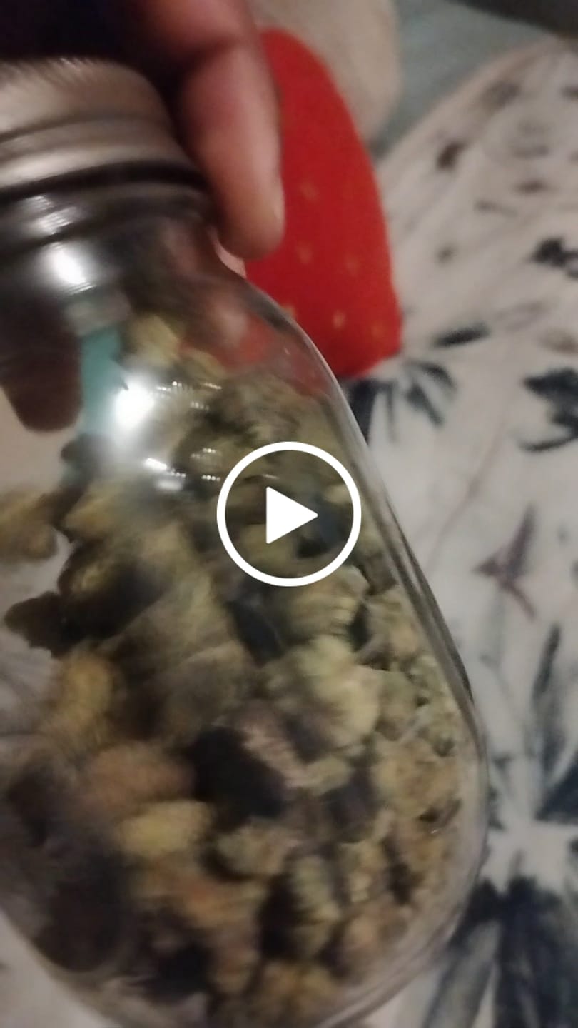 Customer video review of Indoor Micros