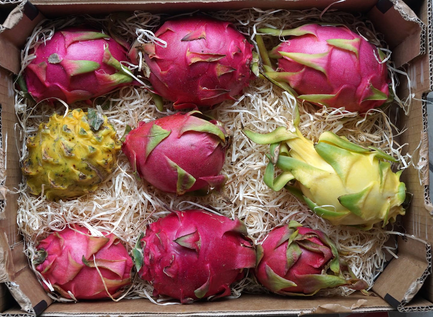Customer photo review of Drachenwunder Box (6 Sorten!) Wochenaktion