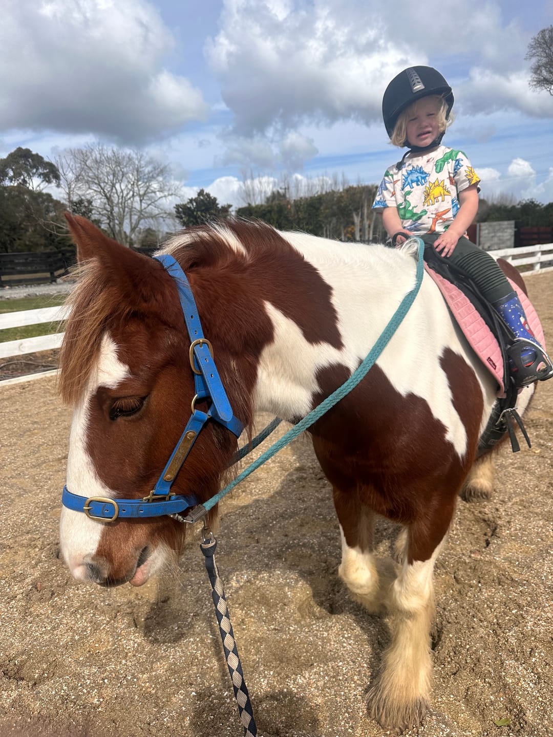 Customer photo review of Digestive EQ