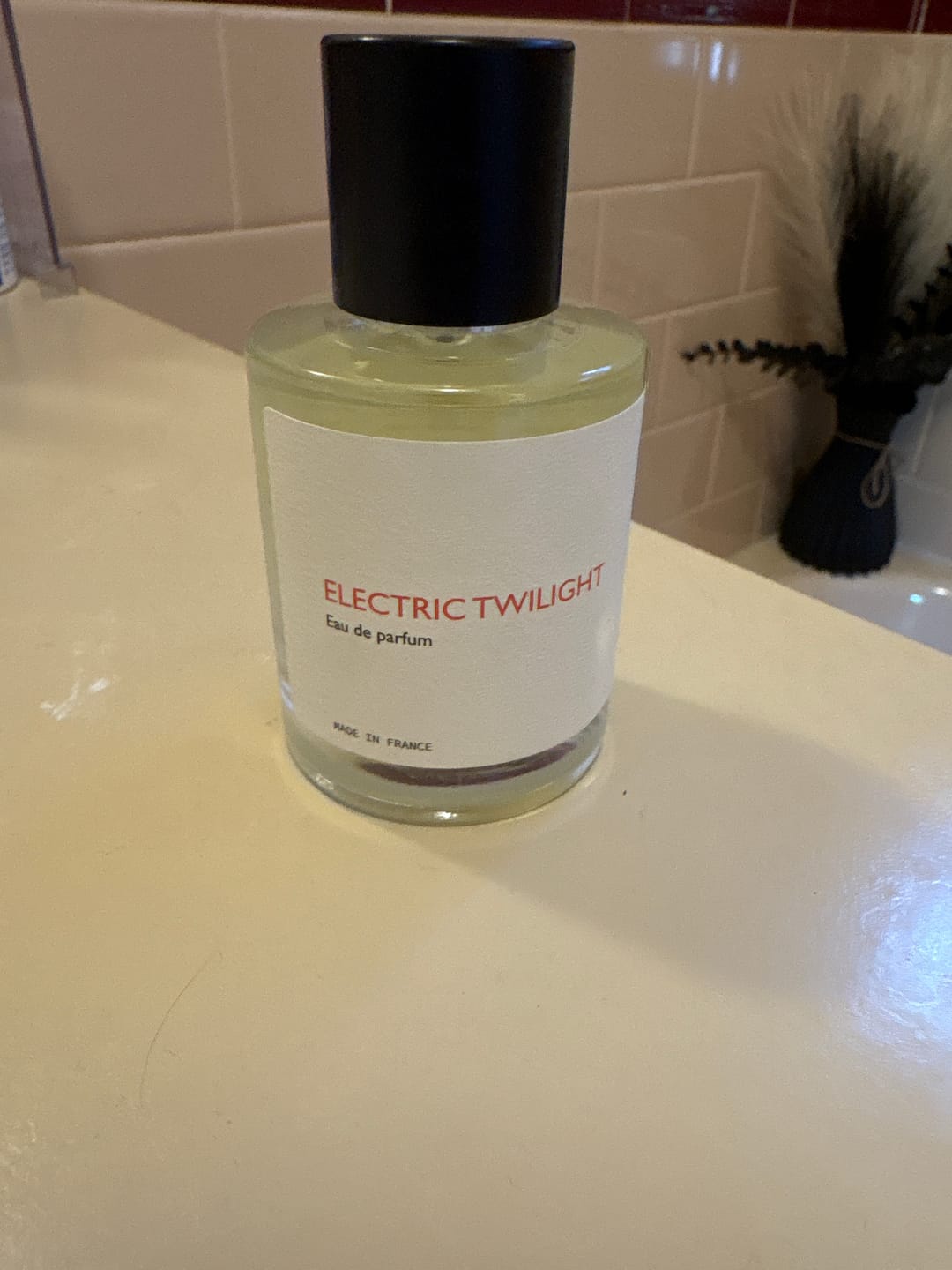 Customer photo review of Electric Twilight