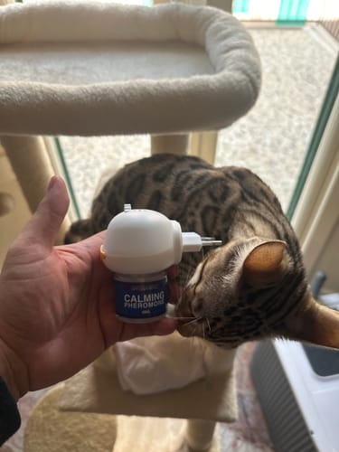 undefined review of Diffusore Calmante per Gatti image 1 out of 1