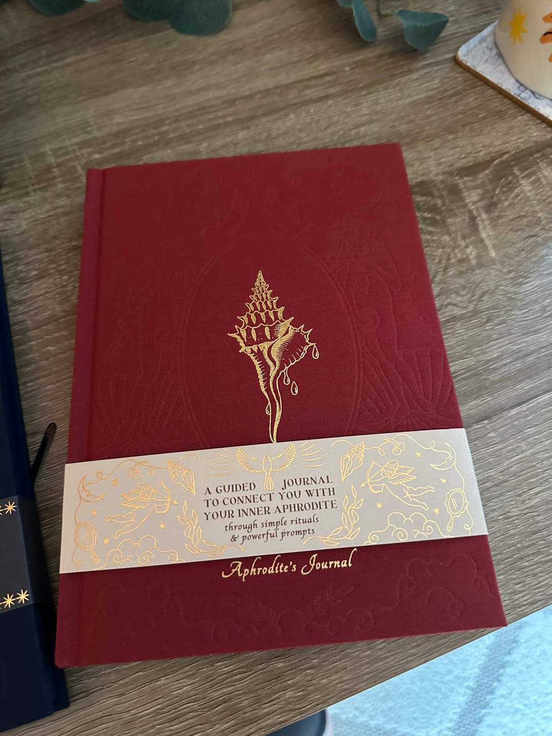 Customer photo review of Aphrodite's Journal
