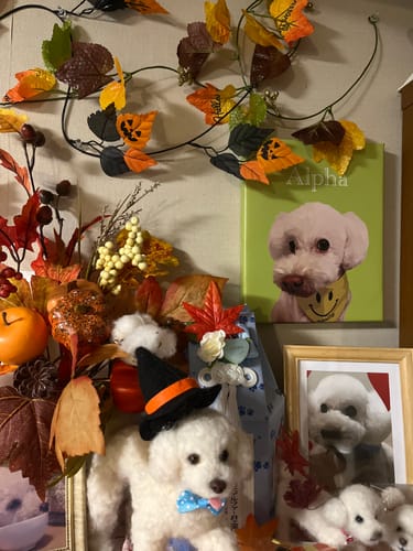 Customer photo review of Petcanva©オーダーメイド ペット似顔絵