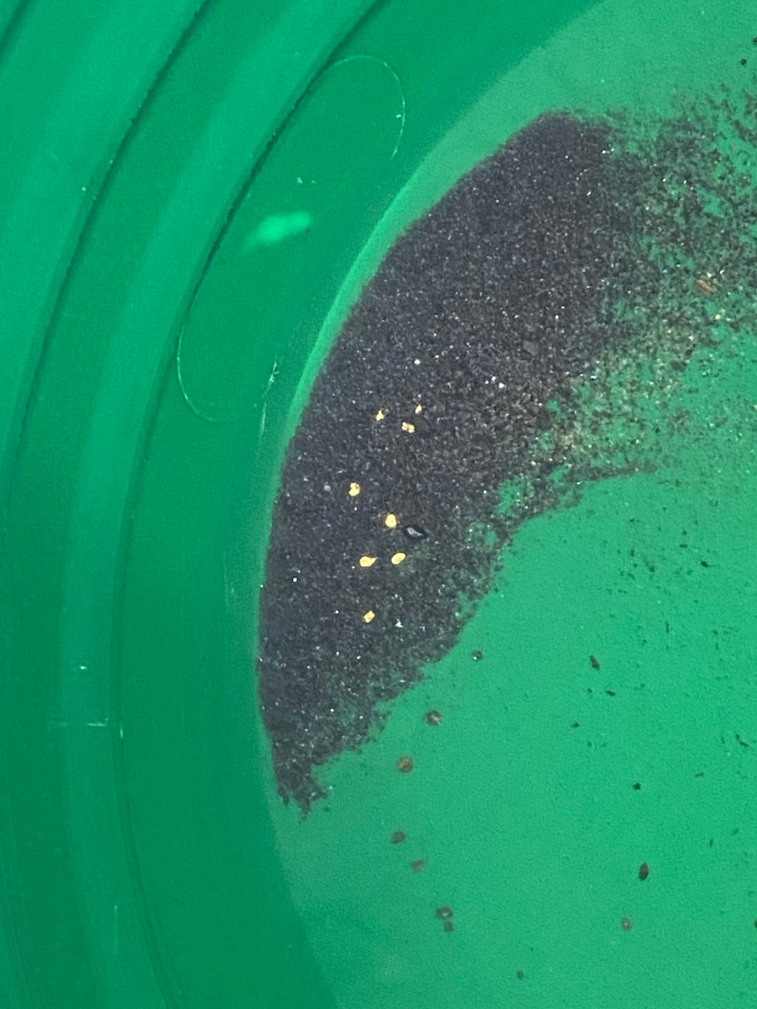 Customer photo review of Gold Clean Up Buddy - Dream Mat Exclusive Sluice Box | Gold Prospecting Equipment