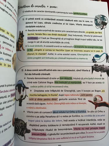 Recenzie cu fotografie de la un client despre Carte Română Bacalaureat Bacademia (temă și viziune, caracterizare, relație) - Ediția II