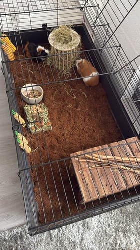 Customer photo review of Kleintiereinstreu