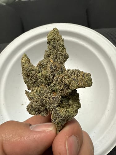 Customer photo review of Purple Octane - Bulk- Indica