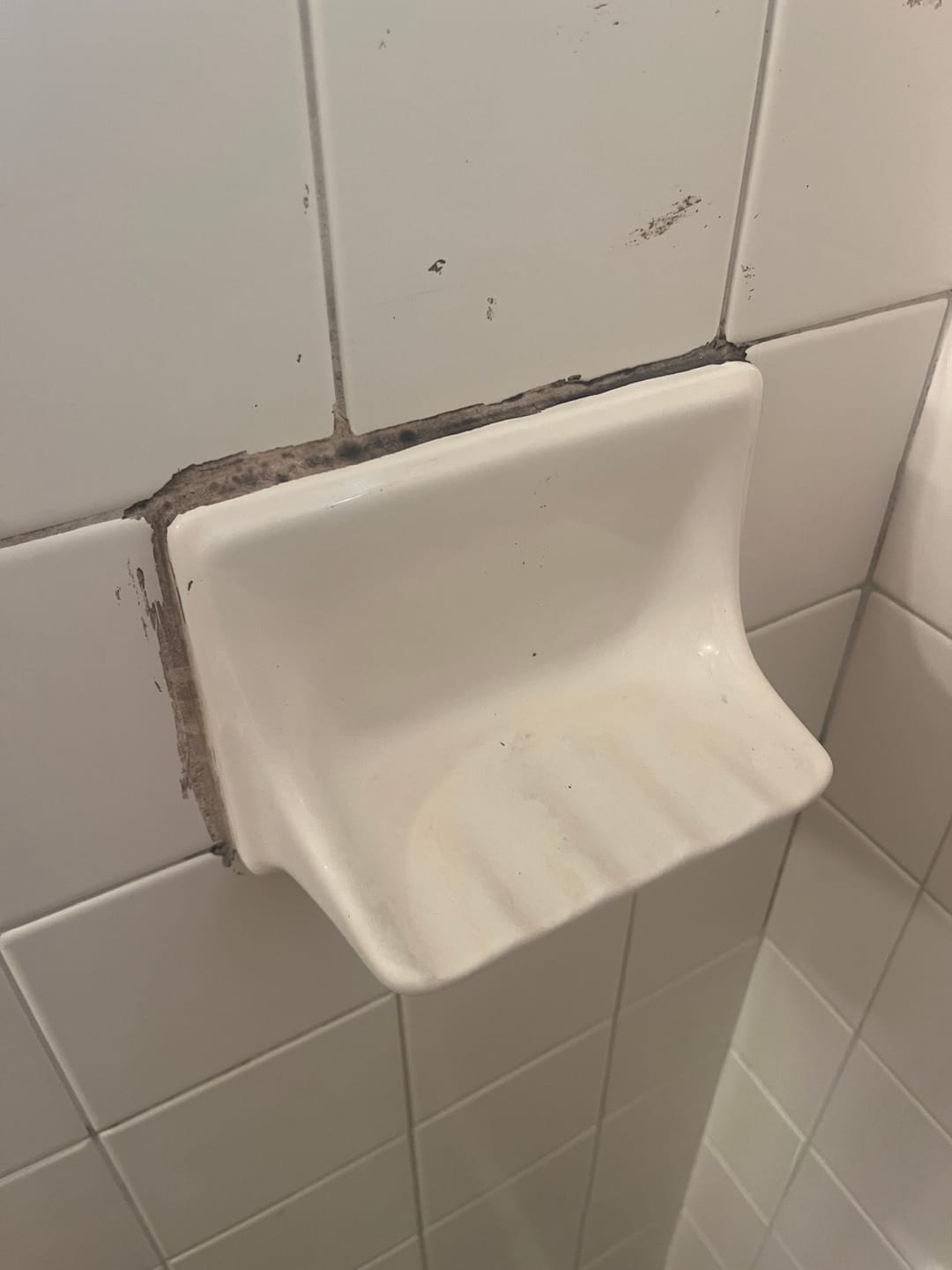 Customer photo review of GLASSGUARD™ Miracle Mold Stain Remover Gel