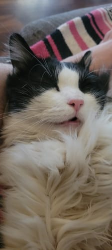 Customer photo review of Sour Strawberry (Tier 2)