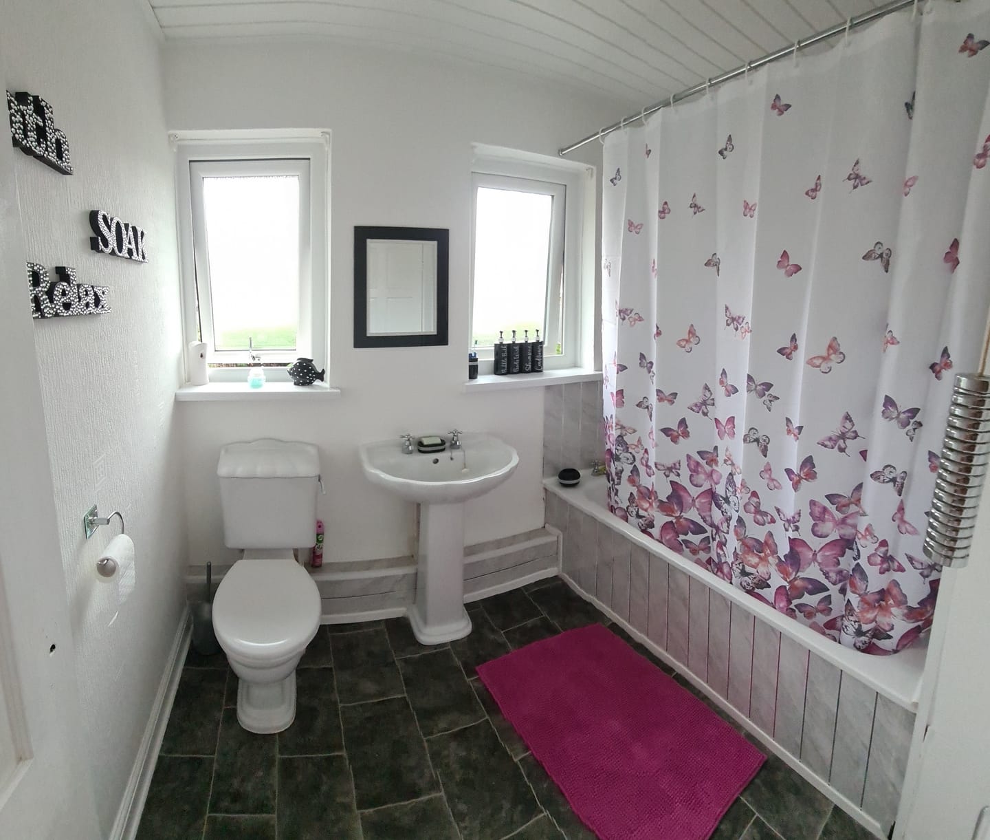 Customer photo review of Shower and Glass Cleaner
