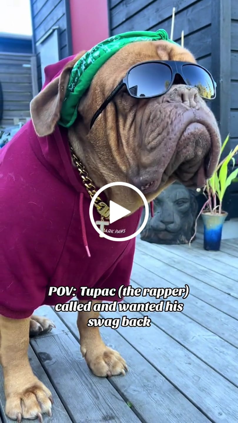 Customer video review of Initial Letter Jewelry Dog Tag(A-Z)