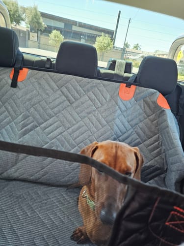 Customer photo review of PupMat 2.0